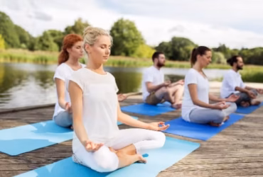 Mind & Wellness